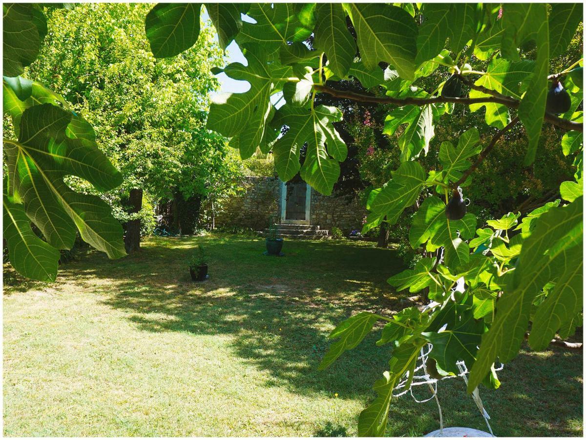 Chambre D'Hote La Romaine Vaison-la-Romaine Exteriör bild